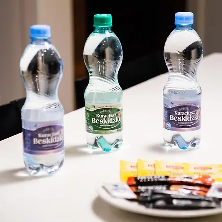 Wola Luxury Wooden By Bookinghost 华沙